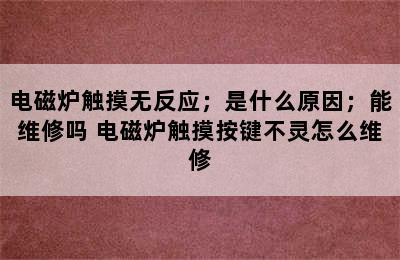 电磁炉触摸无反应；是什么原因；能维修吗 电磁炉触摸按键不灵怎么维修